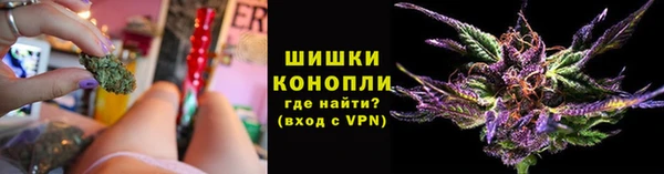 spice Кодинск